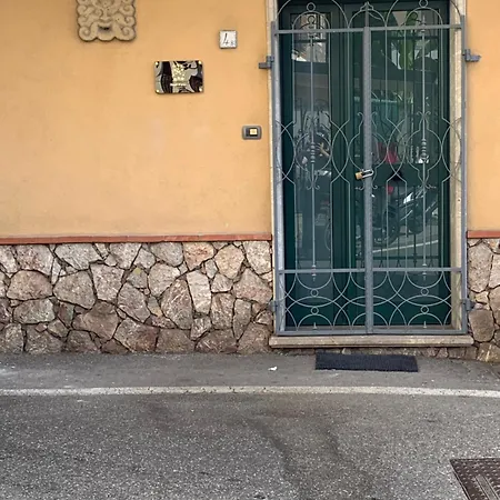 Cocciu D'amuri
